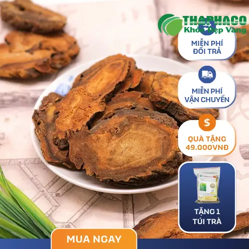 Đại hoàng sấy khô có nhiều công dụng tốt cho sức khỏe