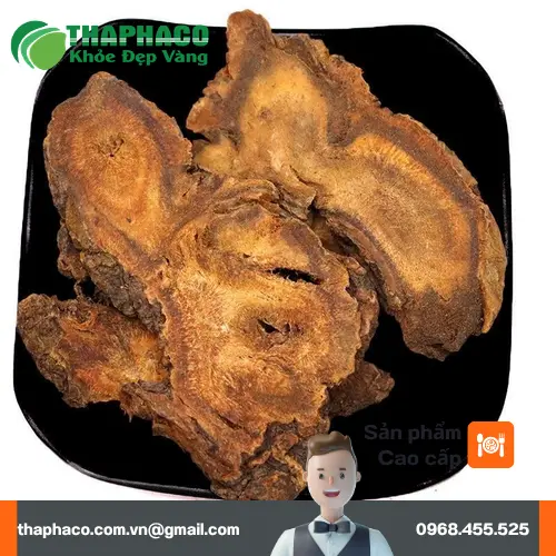 Công dụng đa dạng của đại hoàng sấy khô