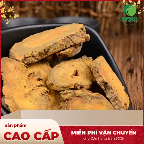 Đại Hoàng khô đã thái lát sẵn sàng sử dụng