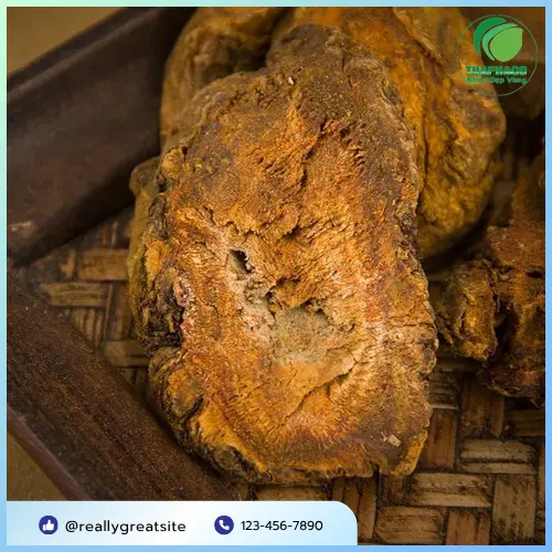 Quy trình sấy khô đại hoàng đạt chuẩn tại THAPHACO