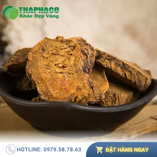 THAPHACO - Nơi cung cấp sỉ Đại hoàng sấy khô uy tín