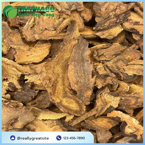 Đại Hoàng THAPHACO chuẩn bị được đóng gói và vận chuyển