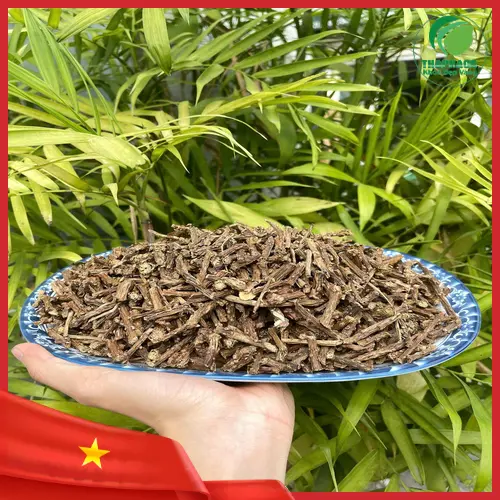 Dây thần thông tươi và khô