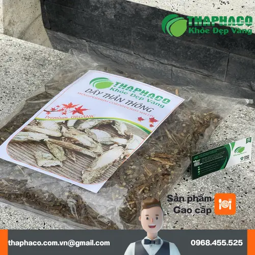 Dây Thần Thông chất lượng cao của Dược Liệu Sỉ THAPHACO