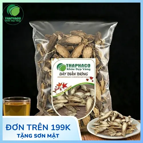 Lá và thân dây thần thông tươi THAPHACO