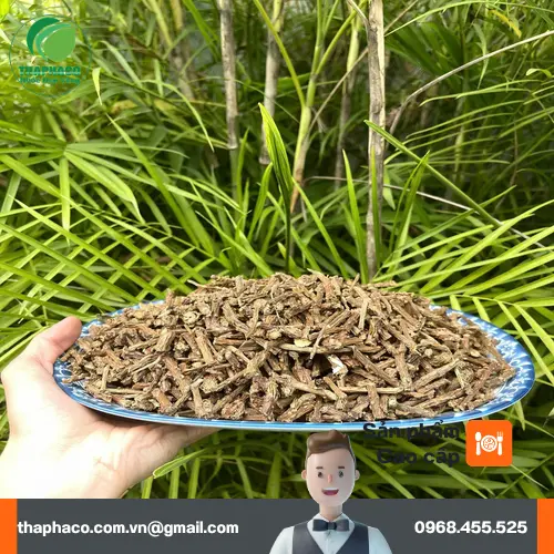 Nước sắc từ dây thần thông