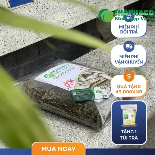 Dây thần thông ngâm rượu