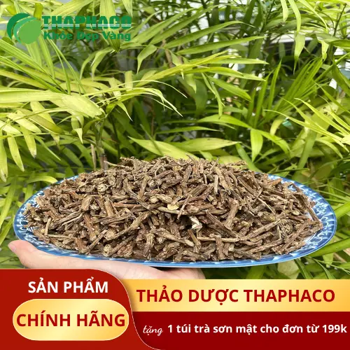 Quá trình phơi khô dây thần thông tại THAPHACO