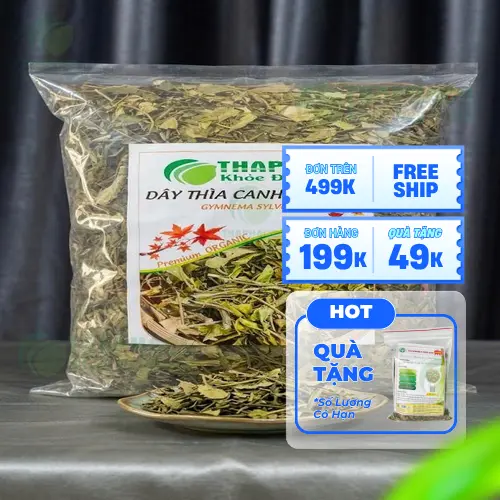 Dây thìa canh khô chất lượng cao từ THAPHACO
