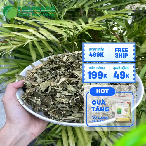 Bình trà dây thìa canh thơm ngon, bổ dưỡng