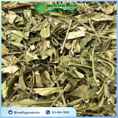 Pha trà dây thìa canh đơn giản tại nhà