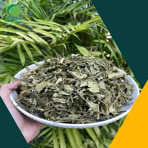 Phản hồi tích cực từ khách hàng về dây thìa canh THAPHACO