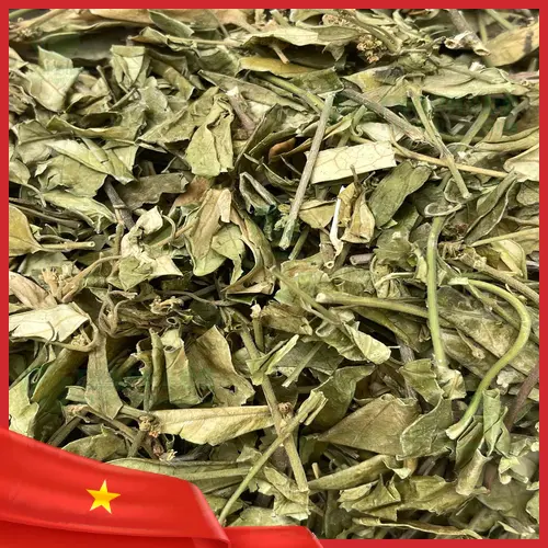 Cách dùng Dây Thìa Canh THAPHACO