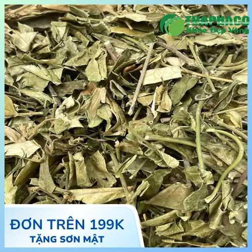 THAPHACO - Địa chỉ cung cấp dây thìa canh sỉ và lẻ uy tín tại TP.HCM