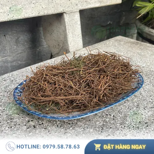 Dây tơ hồng tươi chất lượng cao, chuẩn bị kiểm định