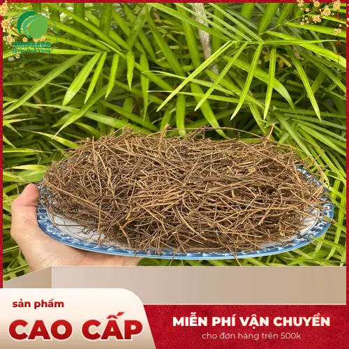 Cận cảnh hạt dây tơ hồng đã qua sơ chế