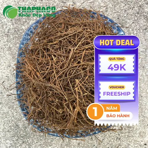 Kho dược liệu Dược Liệu Sỉ THAPHACO