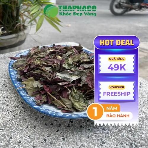Hình ảnh cây lá đơn đỏ toàn thân