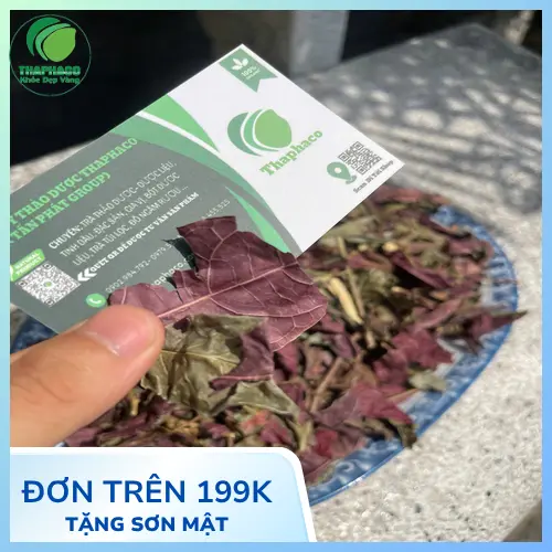 Lá đơn đỏ tươi sạch