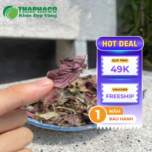Quy trình sấy khô lá đơn đỏ đảm bảo chất lượng