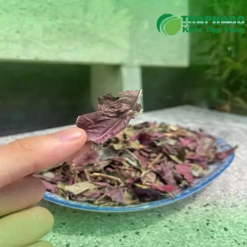 Nước sắc lá đơn đỏ