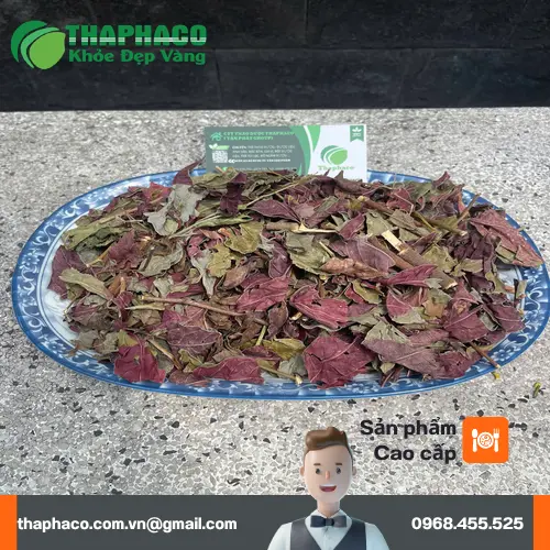 Kho dược liệu sỉ số lượng lớn THAPHACO tại TP.HCM