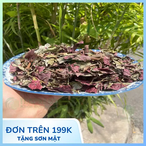 Lá đơn đỏ sấy khô được kiểm định chất lượng chặt chẽ