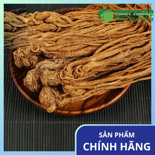 Đương quy khô thái lát dùng để sắc thuốc