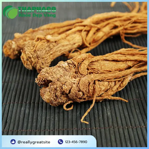Hình ảnh Đương quy chất lượng cao, được kiểm định tại Dược Liệu Sỉ THAPHACO