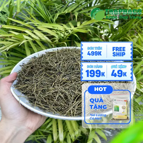 Quy trình phơi sấy giảo cổ lam tại THAPHACO