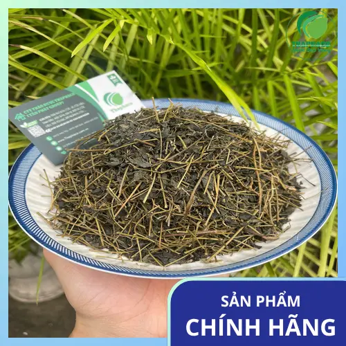 Giảo cổ lam khô chất lượng cao THAPHACO