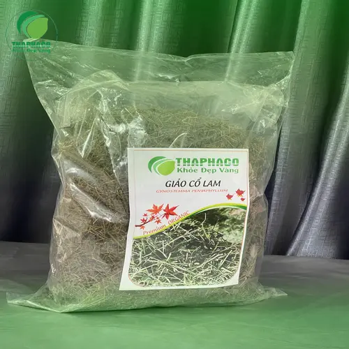 Tư vấn dùng giảo cổ lam cho người bệnh gan