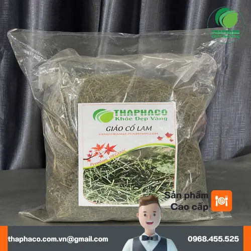 Giảo cổ lam chất lượng cao của THAPHACO