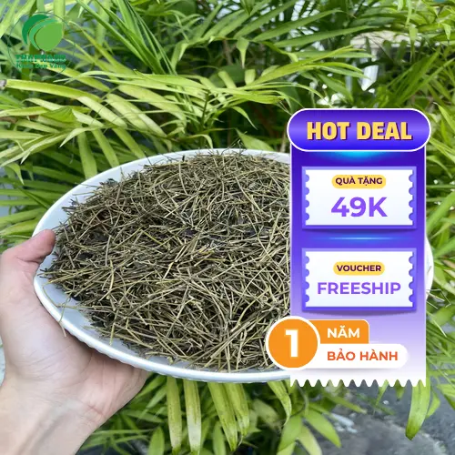 Giảo cổ lam đóng gói theo tiêu chuẩn xuất khẩu