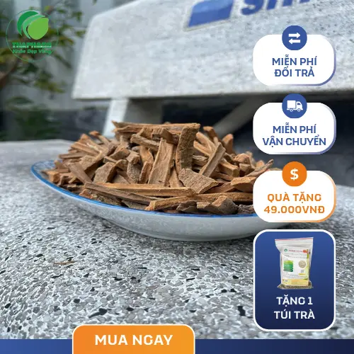Hậu phác khô đã được sơ chế và thái lát sẵn sàng để sắc thuốc