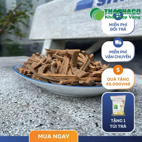 Quy trình kiểm tra chất lượng Hậu Phác tại THAPHACO bởi các chuyên gia