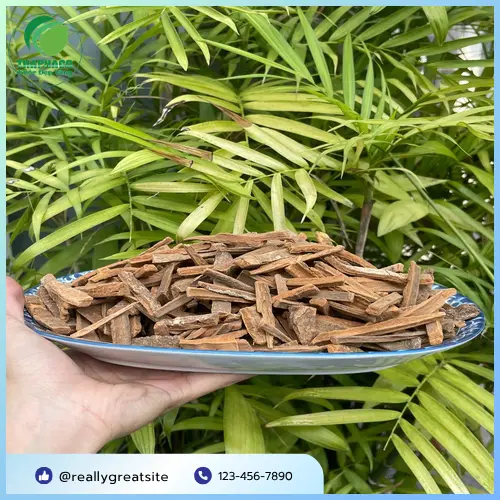 Hình ảnh các loại dược liệu khô được phơi và sơ chế