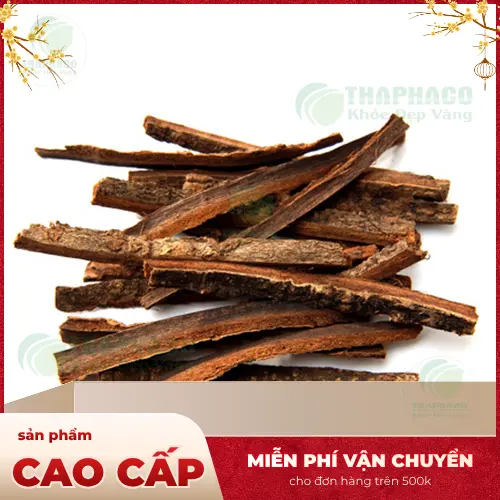 Hình ảnh đóng gói dược liệu Hậu Phác tại THAPHACO
