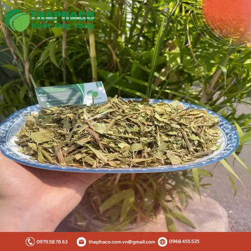 Hình ảnh cây Hoàn Ngọc khô chất lượng cao từ THAPHACO