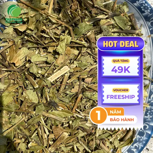 Hoàn ngọc khô tự nhiên từ Dược Liệu Sỉ THAPHACO