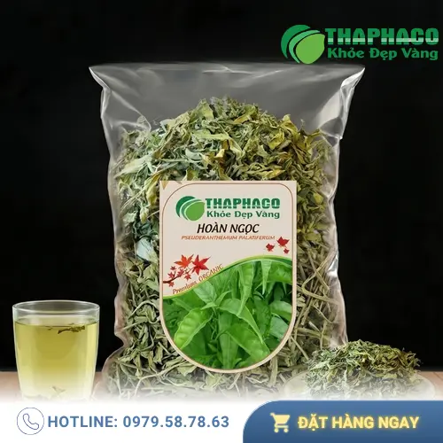 Hình ảnh cây hoàn ngọc tươi và thành phẩm hoàn ngọc khô