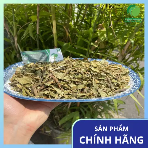 Hoàn Ngọc khô chất lượng cao - Dược liệu tự nhiên hỗ trợ sức khỏe