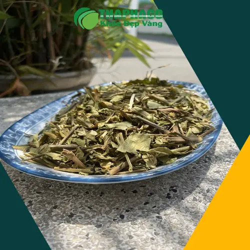 Hoàn ngọc khô chất lượng cao từ Dược Liệu Sỉ THAPHACO