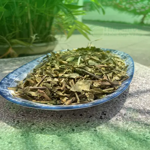 Dược Liệu Sỉ THAPHACO - Địa chỉ uy tín cung cấp Hoàn Ngọc tại TP.HCM