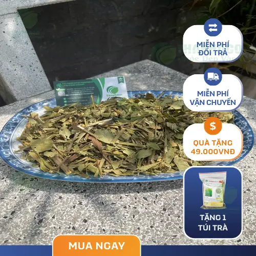 Gói Hoàn Ngọc khô THAPHACO chất lượng cao