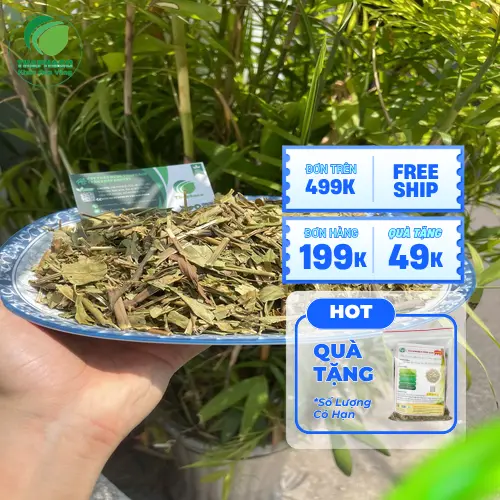 Kho dược liệu sỉ của Dược Liệu Sỉ THAPHACO tại TP.HCM