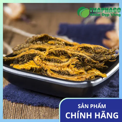 Hệ thống kho bãi hiện đại của Dược Liệu Sỉ THAPHACO