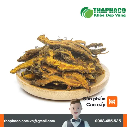 Hướng dẫn cách sắc hoàng liên đúng cách để giữ dược tính