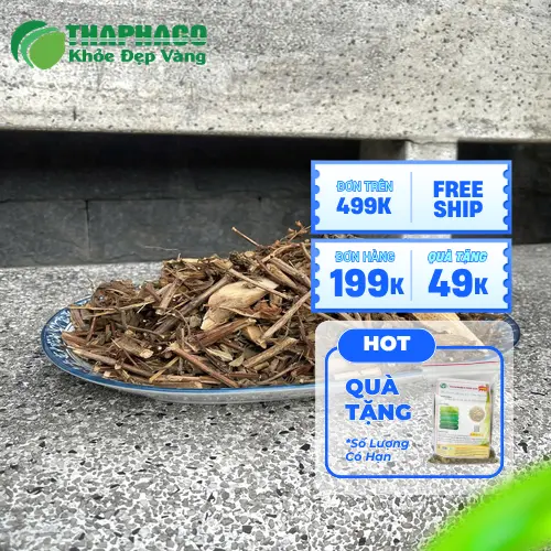 Lá hương nhu tươi và khô