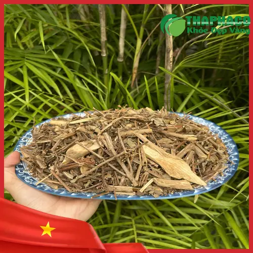 Cây hương nhu - Dược liệu quý cho tóc đen óng